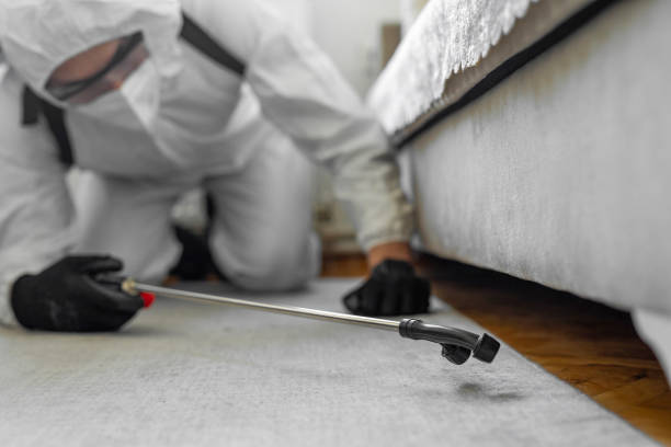 Professional Ant Control technician working in Love County County, OK